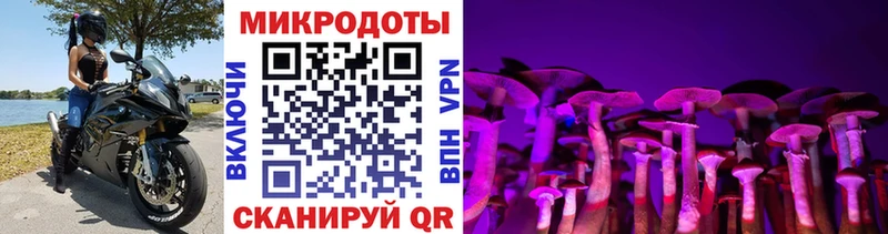 дарнет шоп  Цивильск  OMG   Псилоцибиновые грибы Psilocybe 